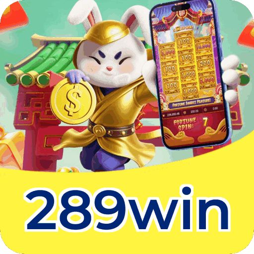 Interface do Aplicativo 289win - Design Premium e Intuitivo